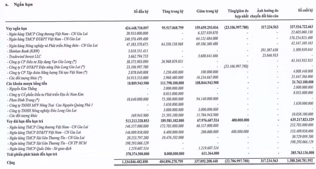 DLG: Cho các cá nhân vay gần 2.400 tỷ không có tài sản đảm bảo, nợ ngân hàng quá hạn thanh toán - Hình 3 DLG: Cho cac ca nhan vay gan 2.400 ty khong co tai san dam bao, no ngan hang qua han thanh toan-Hinh-3