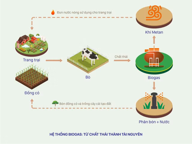 Phát triển nông nghiệp bền vững: Nhìn từ hệ thống trang trại bò sữa Vinamilk - Hình 5 Phat trien nong nghiep ben vung: Nhin tu he thong trang trai bo sua Vinamilk-Hinh-5