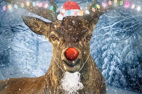 He lo su that it ai biet ve Giang sinh va ong gia Noel-Hinh-4