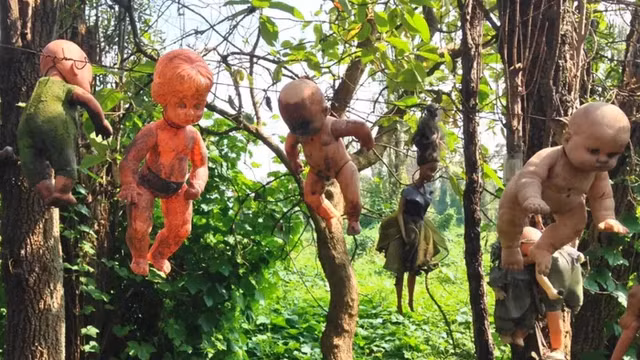 Khám phá hòn đảo đáng sợ nhất thế giới - Hình 7 Kham pha hon dao dang so nhat the gioi-Hinh-7
