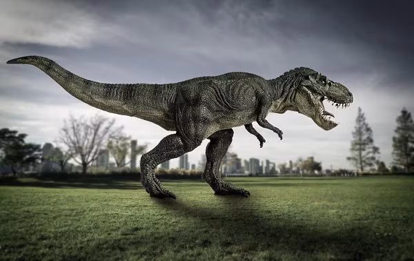 Quái vật T-rex thực chất chỉ là loài chuyên 'cắn trộm' để tồn tại - Hình 2 Quai vat T-rex thuc chat chi la loai chuyen 'can trom' de ton tai-Hinh-2