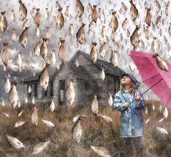 Su that ve cac con mua dong vat ky quai nhat the gioi