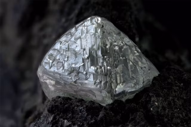 Phát hiện “kho báu” 1.800 năm ở Nam Cực: Rùng mình nguồn gốc! - Hình 8 Phat hien “kho bau” 1.800 nam o Nam Cuc: Rung minh nguon goc!-Hinh-8