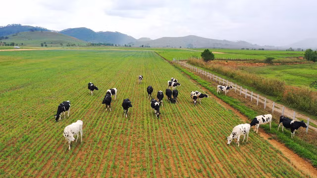 Vinamilk vào Top 5 cổ phiếu đáng quan tâm của Đông Nam Á - Hình 2 Vinamilk vao Top 5 co phieu dang quan tam cua Dong Nam A-Hinh-2