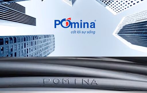 Thep Pomina sap co 'bien' khi Thep Viet khong du dai hoi co dong?