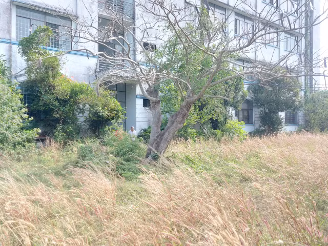 Trà Vinh: Xót xa ngôi trường đầu tư hàng chục tỷ đồng từ tiền ngân sách lại bỏ hoang? - Hình 2 Tra Vinh: Xot xa ngoi truong dau tu hang chuc ty dong tu tien ngan sach lai bo hoang?-Hinh-2