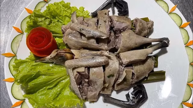 Biết gì về món ăn từ chim Sâm Cầm khiến đại gia Việt săn lùng - Hình 3 Biet gi ve mon an tu chim Sam Cam khien dai gia Viet san lung-Hinh-3