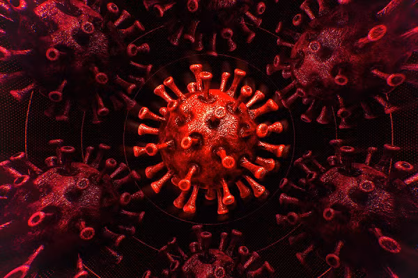 Nhật phát triển siêu vắc xin ngừa tất cả chủng virus Corona như nào? - Hình 5 Nhat phat trien sieu vac xin ngua tat ca chung virus Corona nhu nao?-Hinh-5