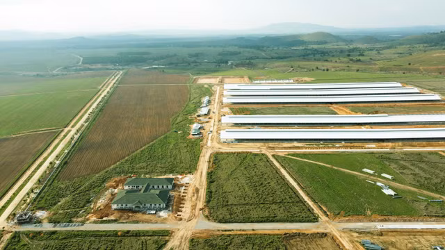 Vinamilk tiep tuc thuoc nhom dan dau trong Top 50 doanh nghiep niem yet tot nhat 2021-Hinh-2