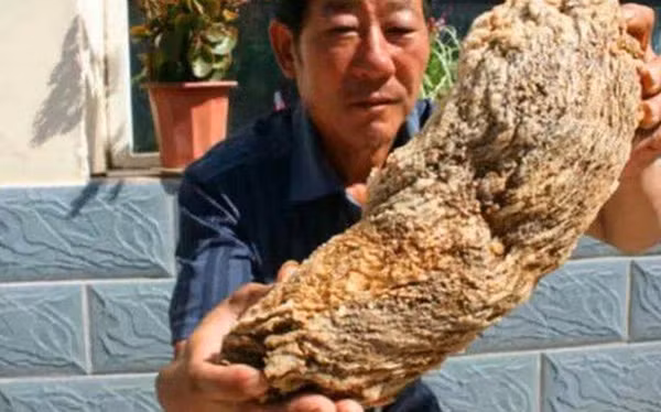 Can canh bau vat Tan Thuy Hoang tung ao uoc-Hinh-8