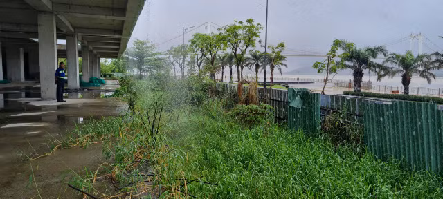Can canh 'dat vang' bo hoang giua TP Da Nang-Hinh-4