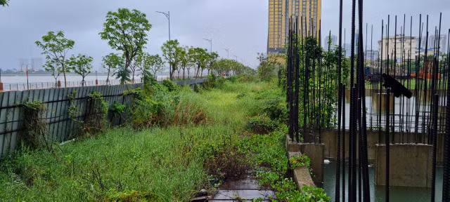 Can canh 'dat vang' bo hoang giua TP Da Nang-Hinh-6