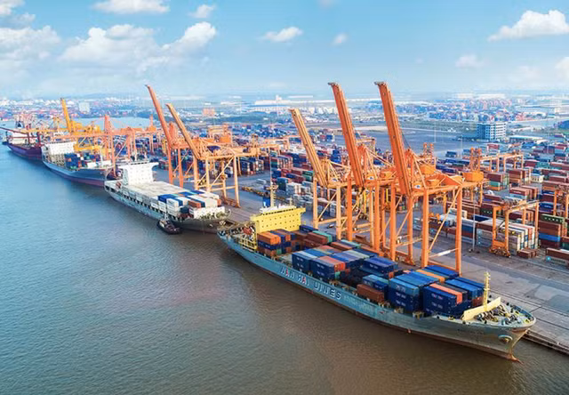 Cang Hai Phong muon thoai von tai MSB khi da loi gap doi?-Hinh-2