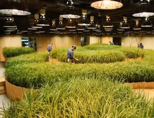 Những phát minh kinh ngạc của người Nhật - Hình 8 Nhung phat minh kinh ngac cua nguoi Nhat-Hinh-8