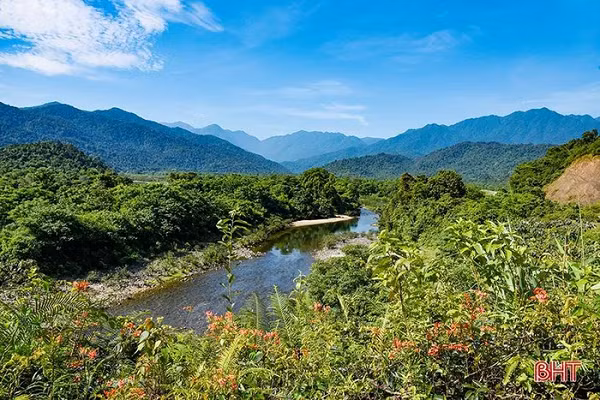 Biết gì về loài thực vật kỳ dị mới được phát hiện ở Hà Tĩnh? - Hình 3 Biet gi ve loai thuc vat ky di moi duoc phat hien o Ha Tinh?-Hinh-3