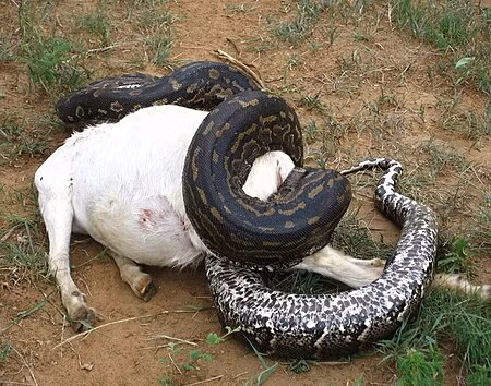 Trai nghiem kinh hoang khi nghe tieng dong la tu nha bep vao dem khuya-Hinh-8