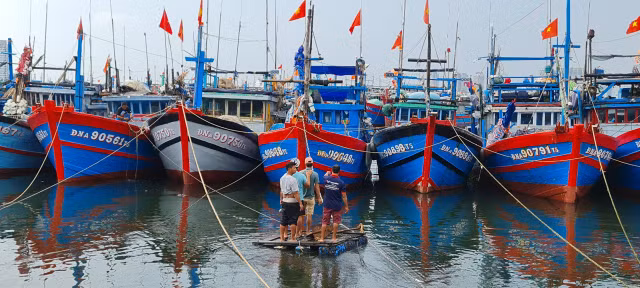 Đà Nẵng hối hả ứng phó siêu bão Noru chuẩn bị đổ bộ - Hình 6 Da Nang hoi ha ung pho sieu bao Noru chuan bi do bo-Hinh-6