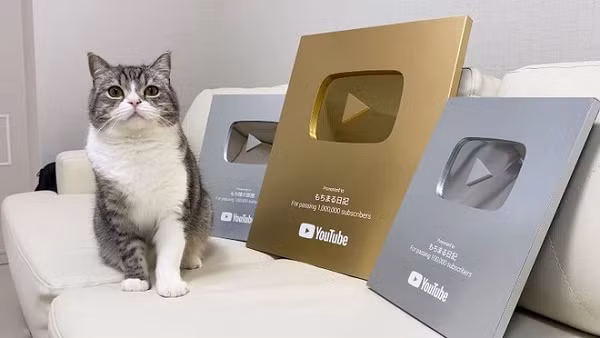 Biet gi ve nut Kim Cuong Do Youtube ma the gioi moi co 4?-Hinh-4