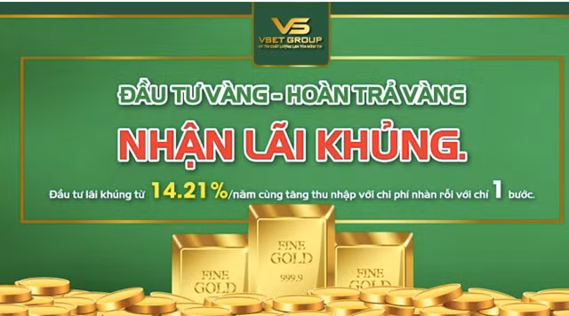 VsetGroup huy dong von tu co phieu, trai phieu den vang voi lai suat cao dang ngo-Hinh-2