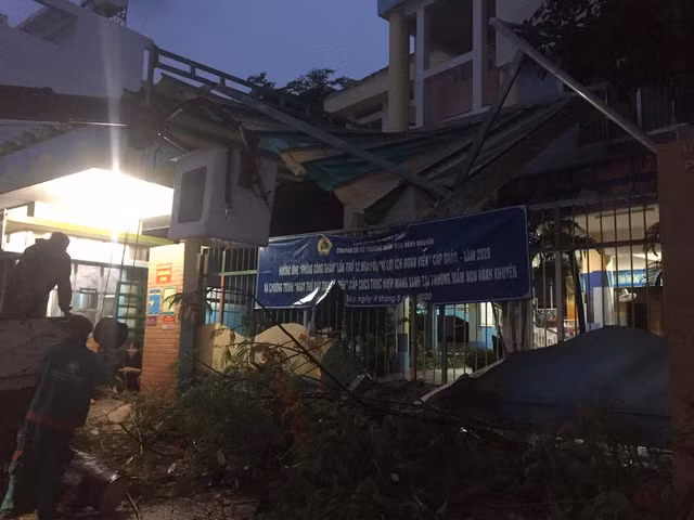 Cây phượng bật gốc trước cổng trường mầm non ở Sài Gòn - Hình 2 Cay phuong bat goc truoc cong truong mam non o Sai Gon-Hinh-2