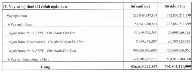 Dang sau con so chi phi lai vay 9 thang ma Van Phat Hung da tra-Hinh-3