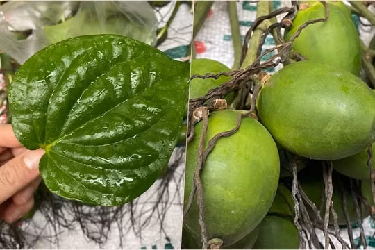 Đồ cúng ông Công ông Táo tăng giá hơn so năm ngoái - Hình 2 Do cung ong Cong ong Tao tang gia hon so nam ngoai-Hinh-2