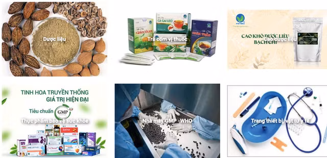Công bố trễ loạt báo cáo, Dược liệu Việt Nam bị phạt Cong bo tre loat bao cao, Duoc lieu Viet Nam bi phat