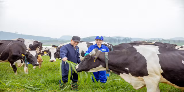 Kham pha to hop Thien duong sua Vinamilk va Moc Chau Milk vua khoi cong-Hinh-4