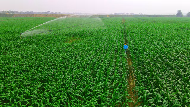Mô hình phát triển bền vững “Vinamilk Green Farm” được chia sẻ tại hội nghị sữa toàn cầu - Hình 7 Mo hinh phat trien ben vung “Vinamilk Green Farm” duoc chia se tai hoi nghi sua toan cau-Hinh-7