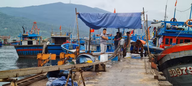 Toàn cảnh hoạt động của cảng cá lớn nhất miền Trung - Hình 15 Toan canh hoat dong cua cang ca lon nhat mien Trung-Hinh-15