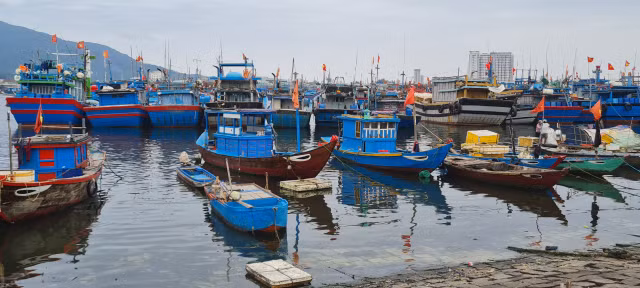 Toàn cảnh hoạt động của cảng cá lớn nhất miền Trung - Hình 6 Toan canh hoat dong cua cang ca lon nhat mien Trung-Hinh-6