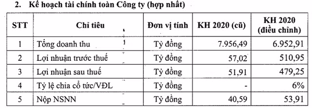 Dam Ca Mau dieu chinh tang toi 89% ke hoach loi nhuan nam 2020-Hinh-2