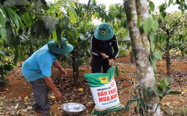 Cap thiet dua thue gia tri gia tang phan bon ve muc 5%