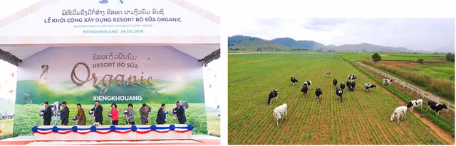 Chia khoa de Vinamilk dung vung top “50 cong ty niem yet tot nhat Viet Nam” 8 nam-Hinh-2