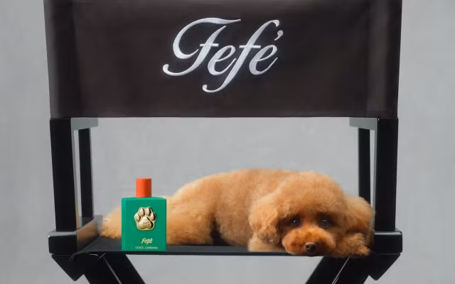 dolce-and-gabbana-launches-fefe-dog-perfume.jpg