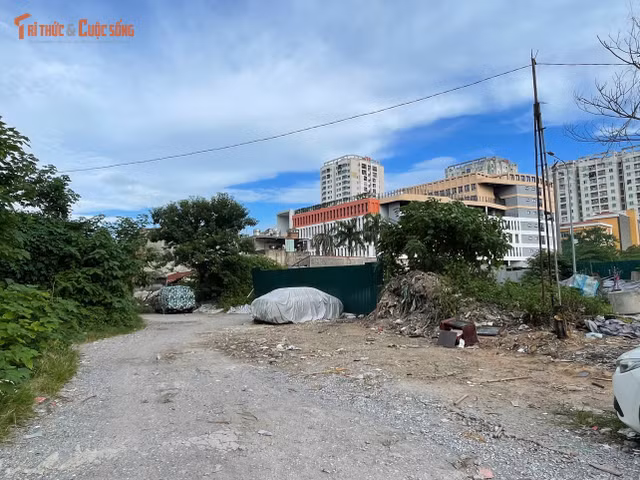 kto-tl_ff361bf89d021c5c451325.jpg