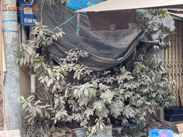 kto-tl_c80889d68d510c0f554021.jpg