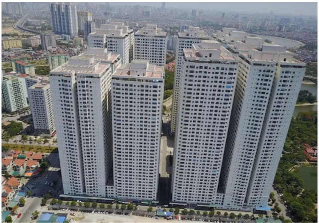 hoangquan-1.png